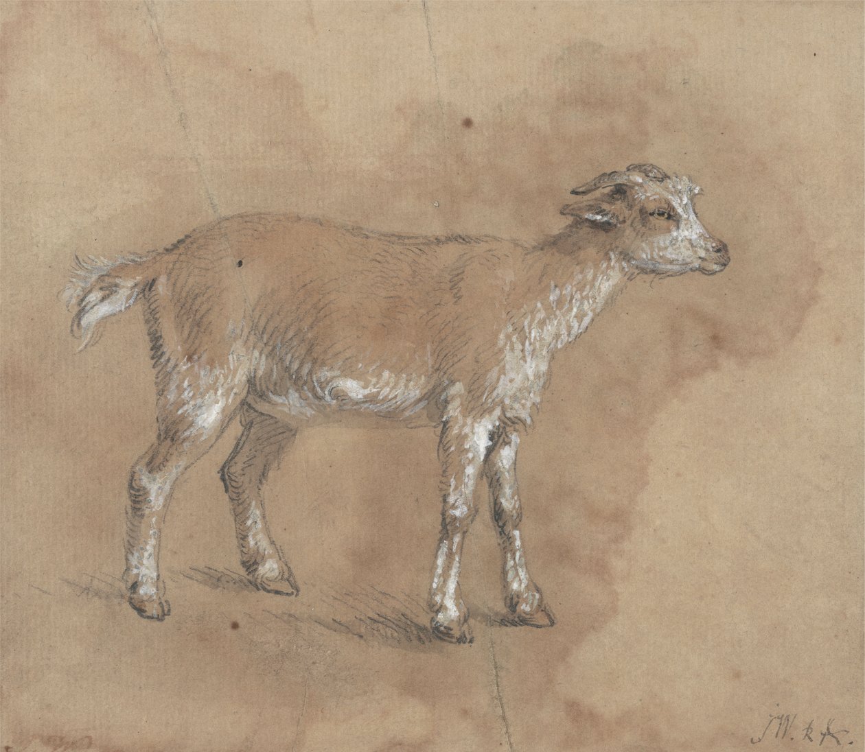 Studie av et barn av James Ward