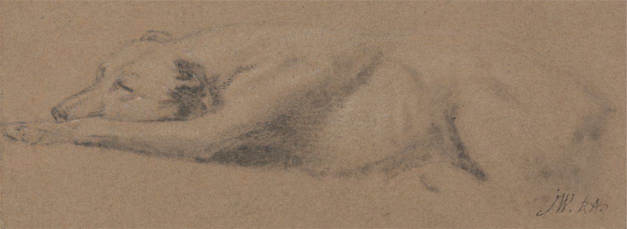 Studie av en sovende hund av James Ward