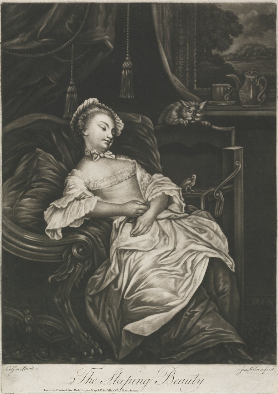 Tornerose av James Wilson