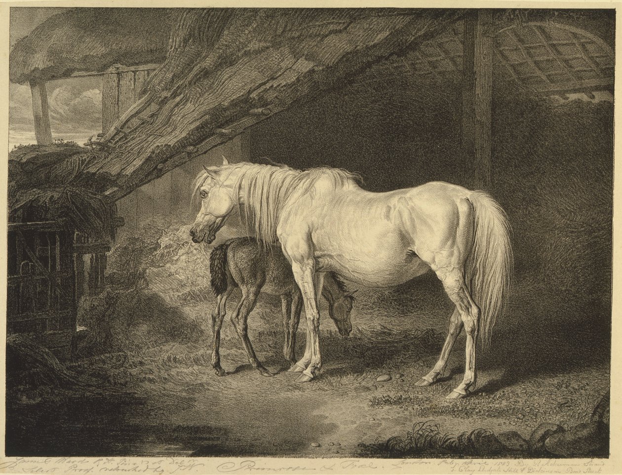 Primrose and Foal, fra Celebrated Horses, et sett med fjorten racingtrykk utgitt av kunstneren, 1823-24 av James after Ward