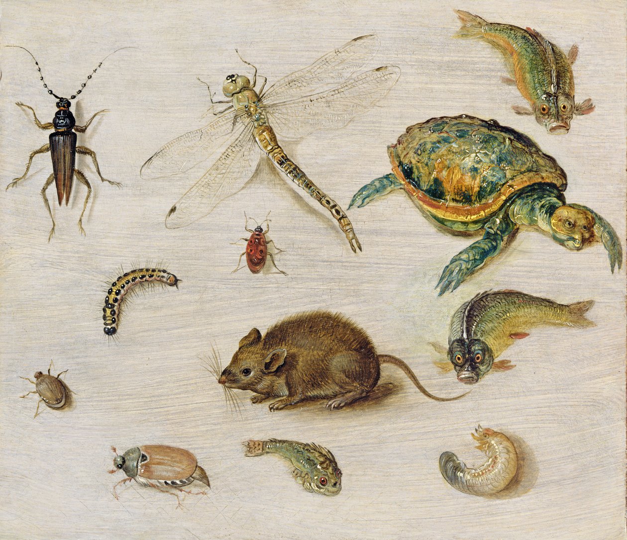 En studie av insekter, sjødyr og en mus av Jan the Elder Brueghel