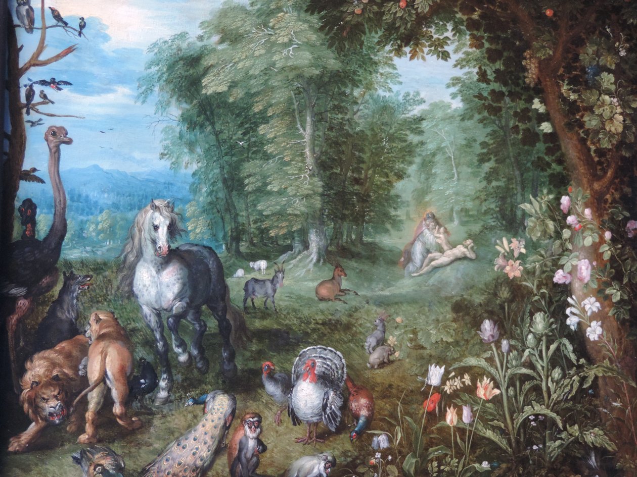 Paradis med skapelsen av Eva av Jan Brueghel the Younger
