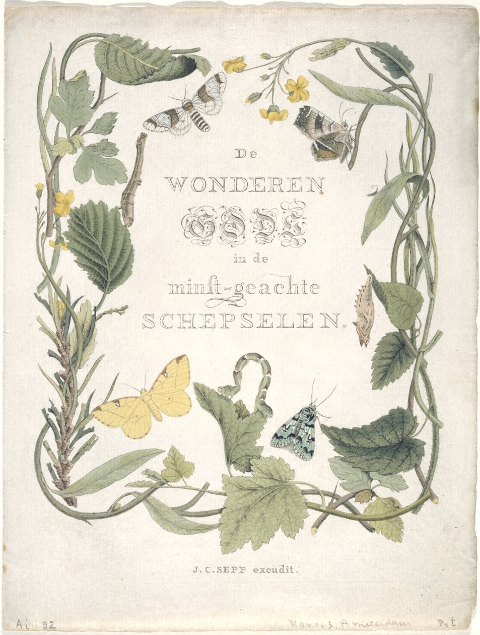 Nattsommerfugler til den første familien til den første gjengen. Tab. III., 1762-1860 av Jan Christiaen Sepp
