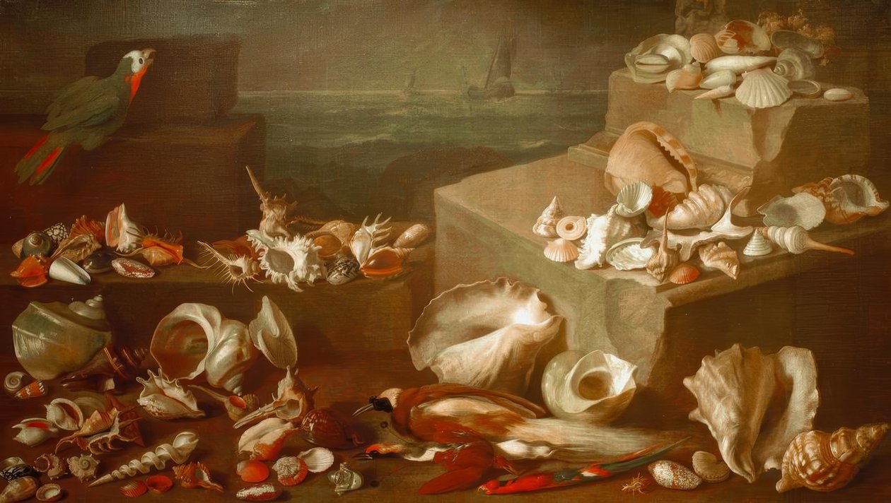 Stilleben med snegler og skjell av Jan Davidsz de Heem