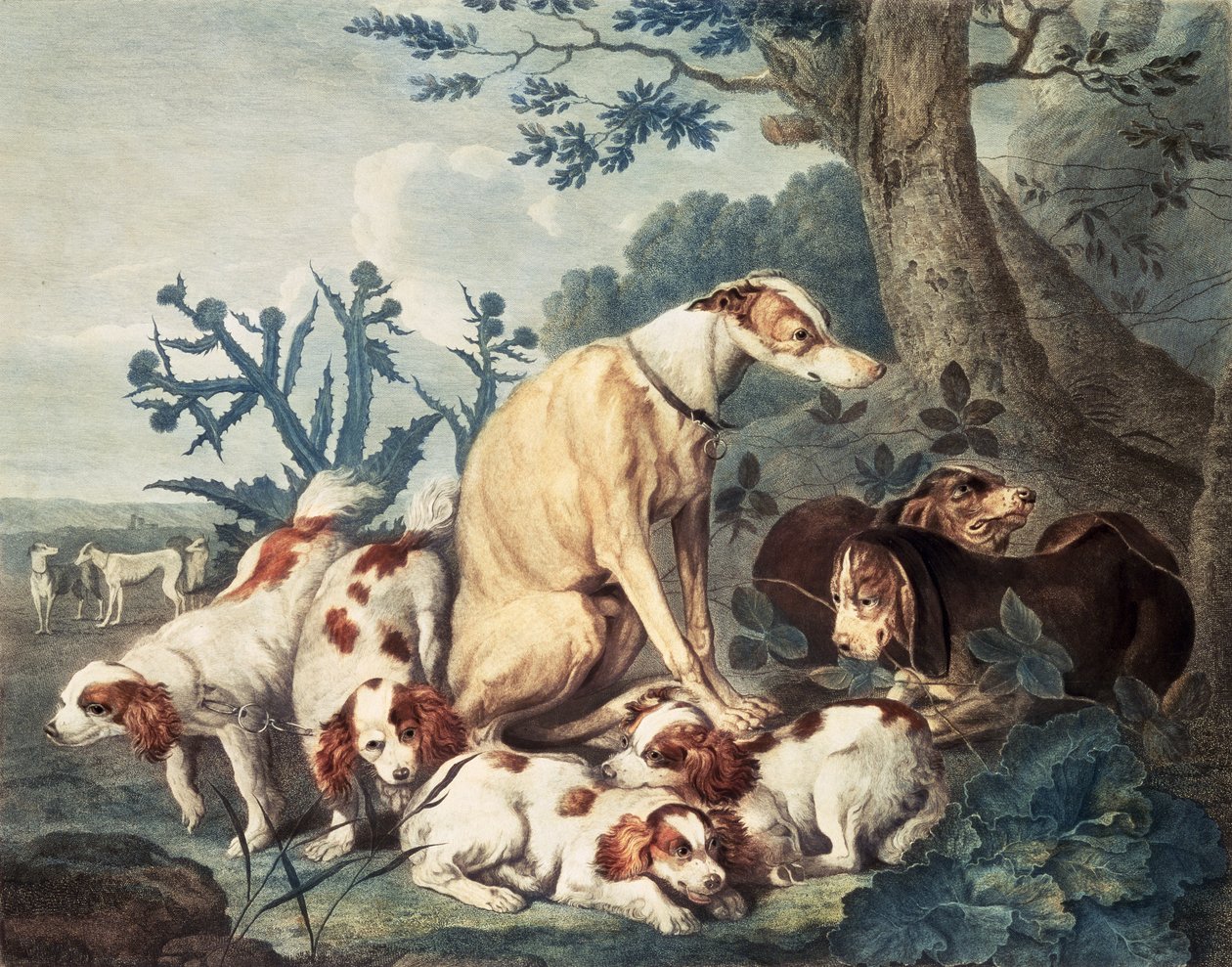 Portraits of Dogs, gravert av Daniel Lerpiniere (ca. 1745-85), pub. av John und Josiah Boydell, 1799 (stippgravering) av Jan Fyt
