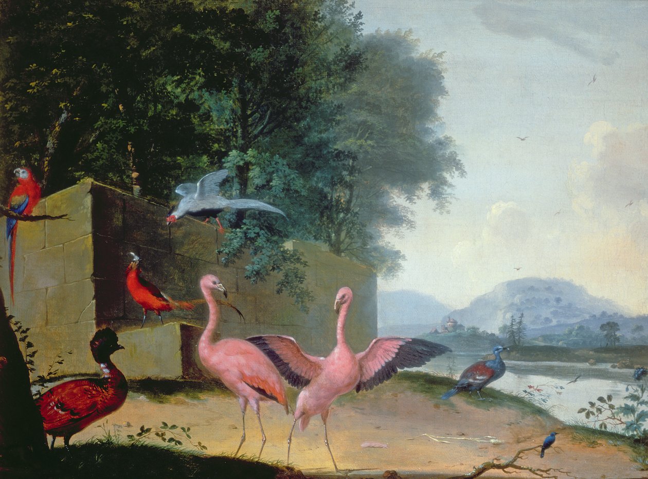 En samling av eksotiske fugler, inkludert flamingoer, papegøyer og en Lady Amherst-fasan av Gerrit van Honthorst