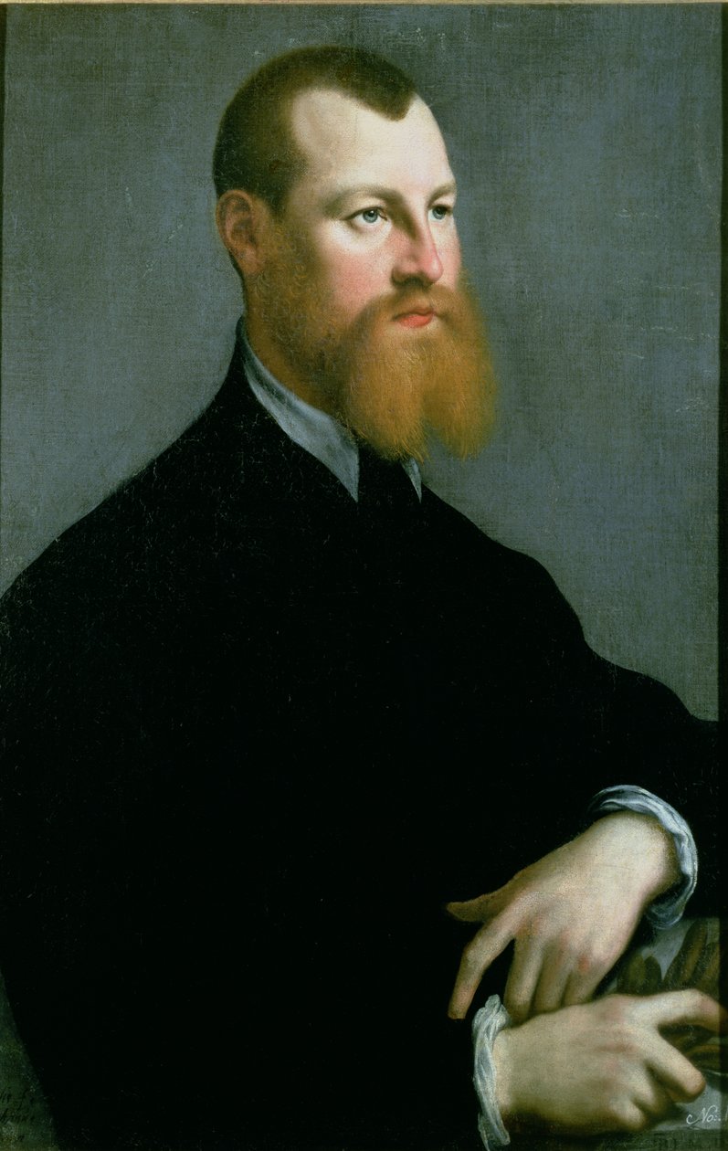 Portrett av en mann med ingefærskjegg, 1500-tallet av Jan Stephen van Calcar