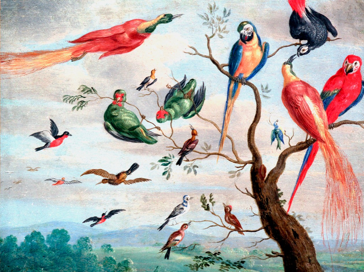 The Chorus of Birds, ca. 1650-1675 (olje på metall) av Jan Thomasz. van Kessel