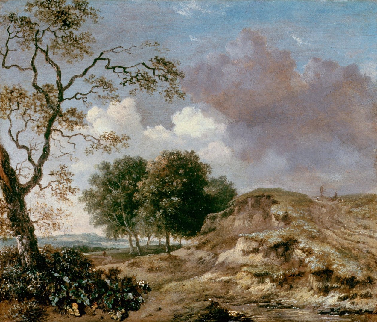Landskap av Jan Wijnants