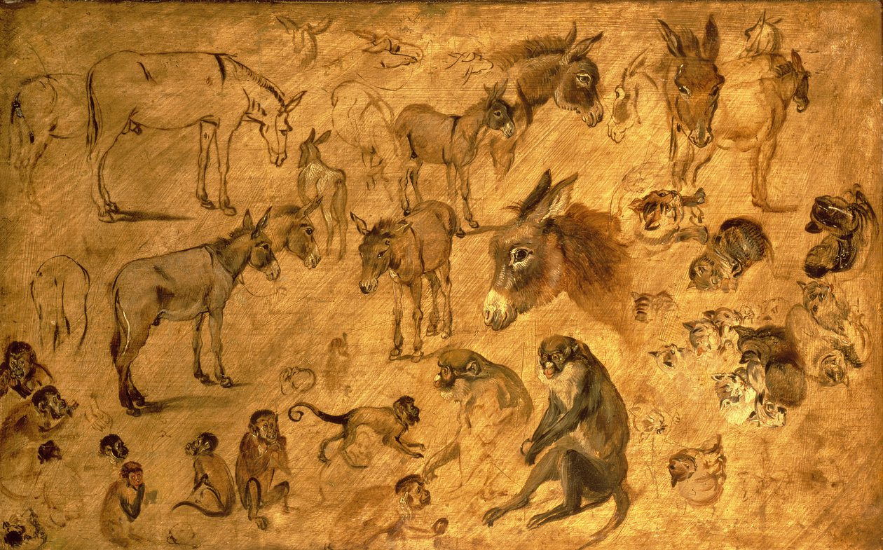 Studie av esler, kattunger og aper, 1616 av Jan the Elder Brueghel