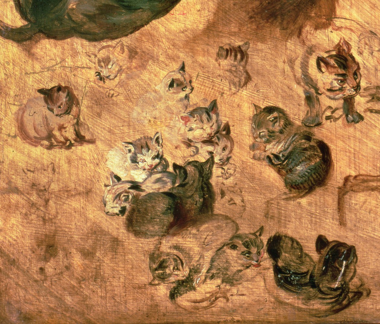 Studie av katter, 1616 (detalj av 65879) av Jan the Elder Brueghel