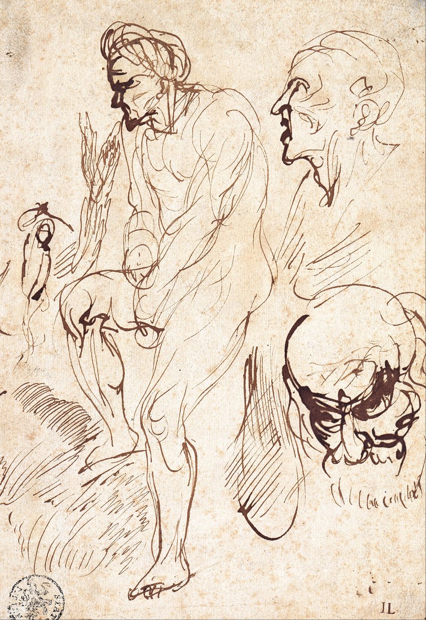 Studier etter modellen av Jan the Elder Lievens