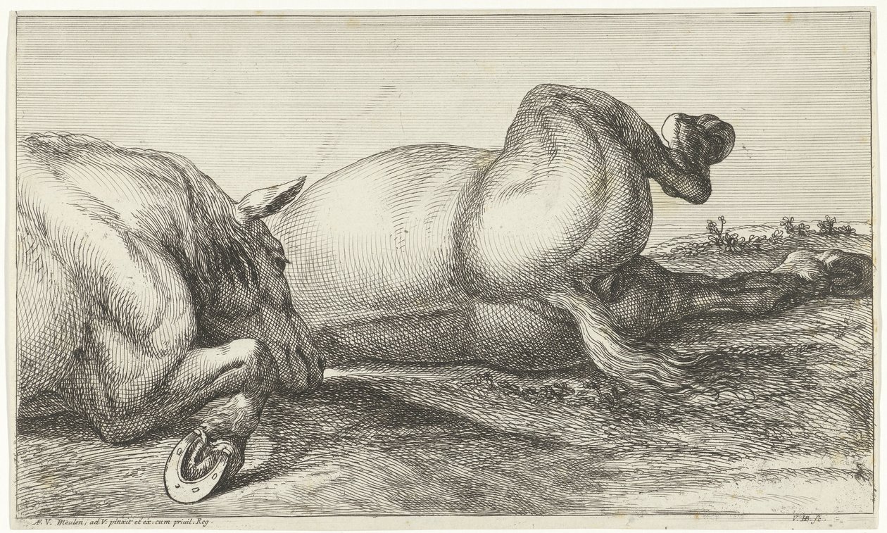 To hester drept i aksjon liggende på rad av Jan van Huchtenburgh