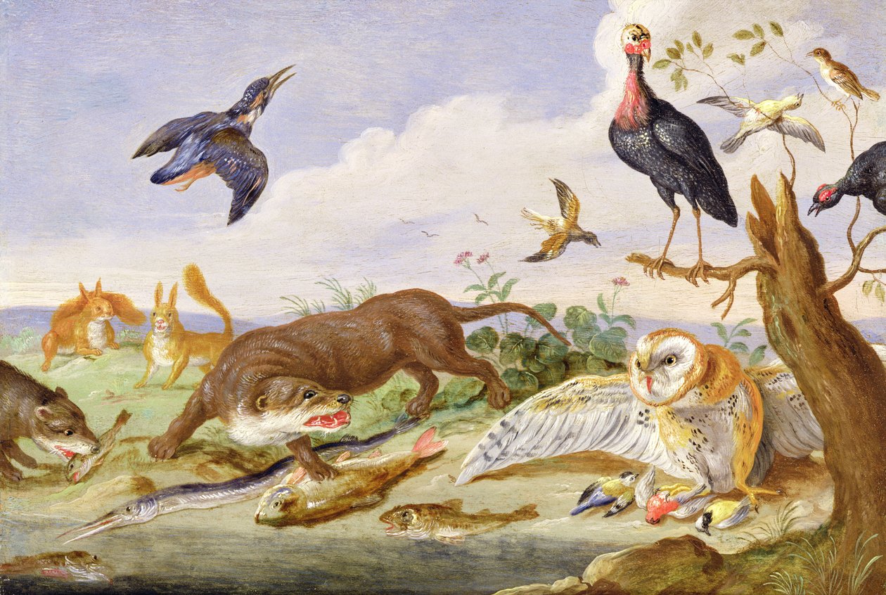 En oter og en ugle som vokter fangstene deres (olje på kobber) av Jan van Kessel the Elder