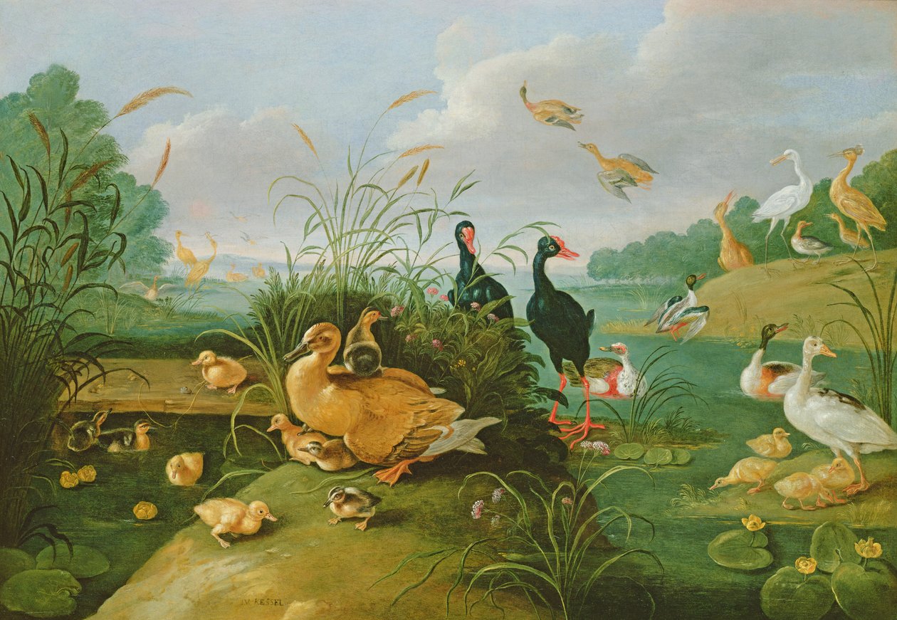 Dekorative fugler og andunger av Jan van Kessel the Elder