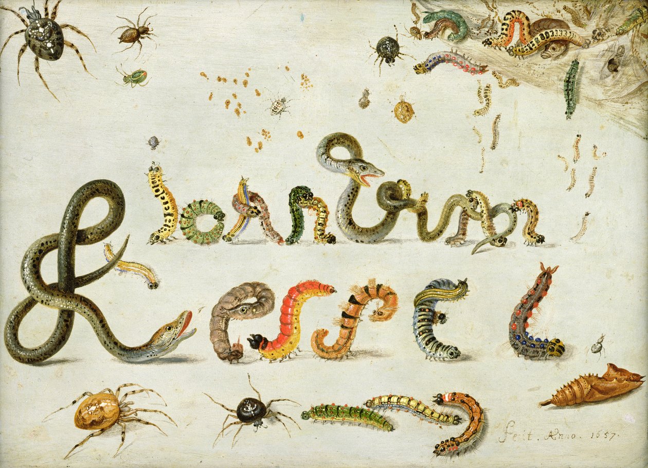 Hage og andre edderkopper, larver staver kunstnerens navn, 1657 (olje på kobber) av Jan van Kessel the Elder