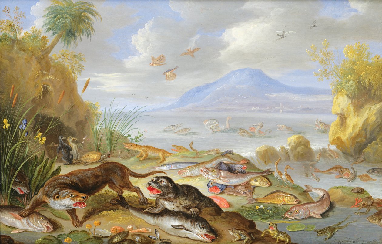 The Element of Water, 1660 (olje på kobber) av Jan van Kessel the Elder
