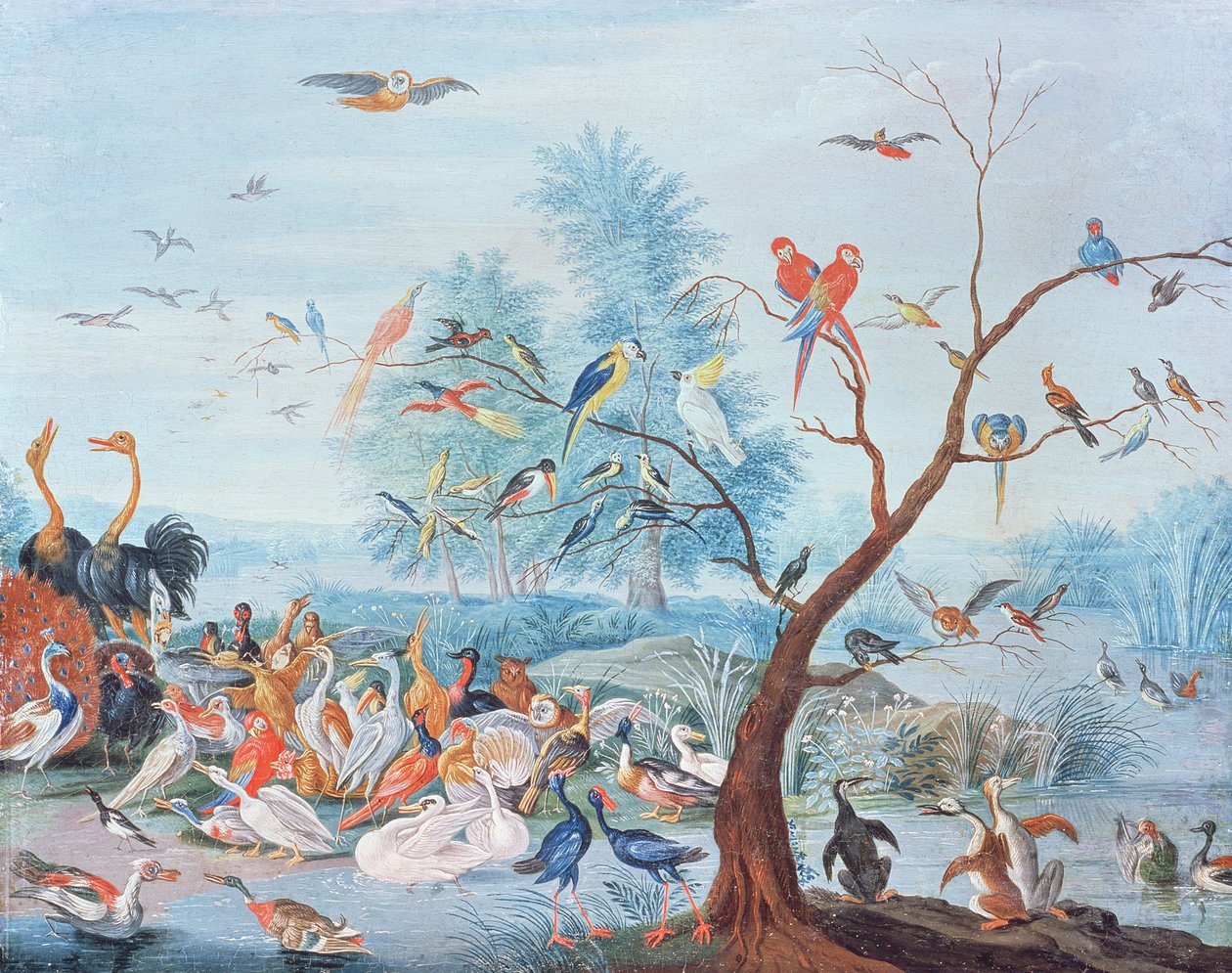 Tropiske fugler i et landskap av Jan van Kessel the Elder