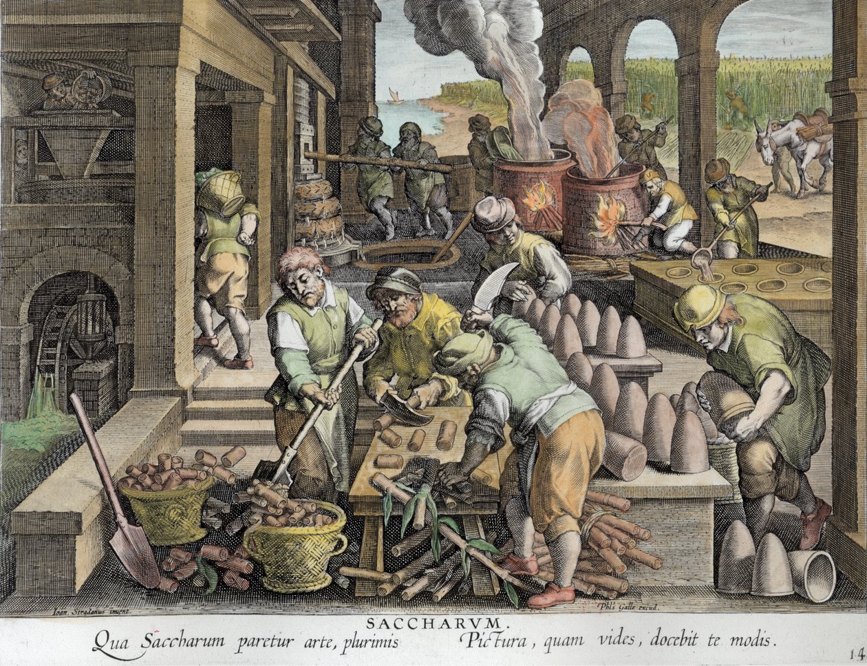A Sugar Mill and the Production of Sugar Loaves, plate 14 fra 'Nova Reperta' (New Discoveries) gravert av Philip Galle (1537-1612) ca. 1600 (senere fargelegging) av Jan van der Straet