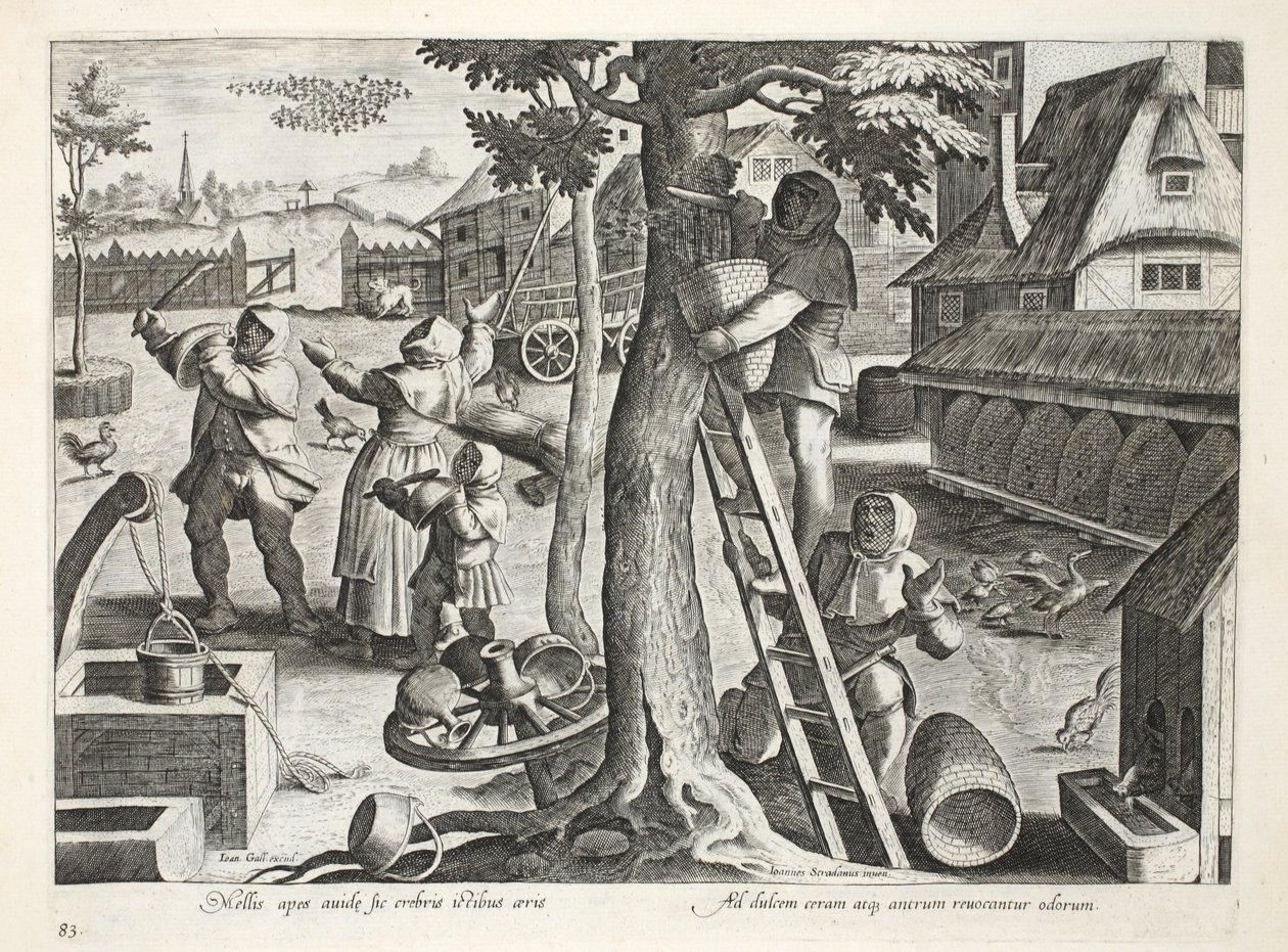 Birøktere, plate 83, illustrasjon fra 