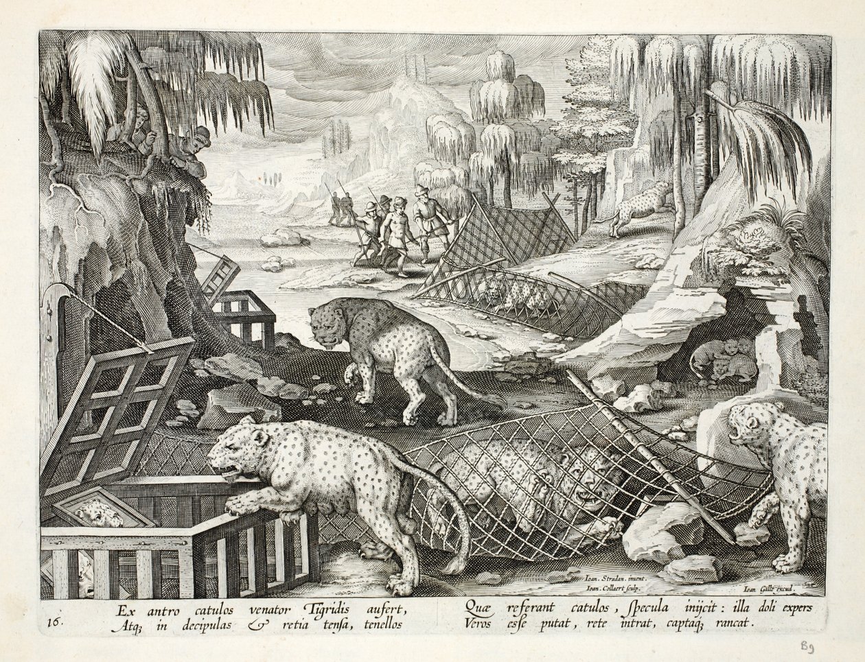 Å fange leoparder ved hjelp av garn og bur agn med speil, illustrasjon fra 'Venationes, Ferarum, Avium, Piscium' (Av jakt: villdyr, fugler, fisk), gravert av Jan Collaert (1566-1) av Jan van der Straet
