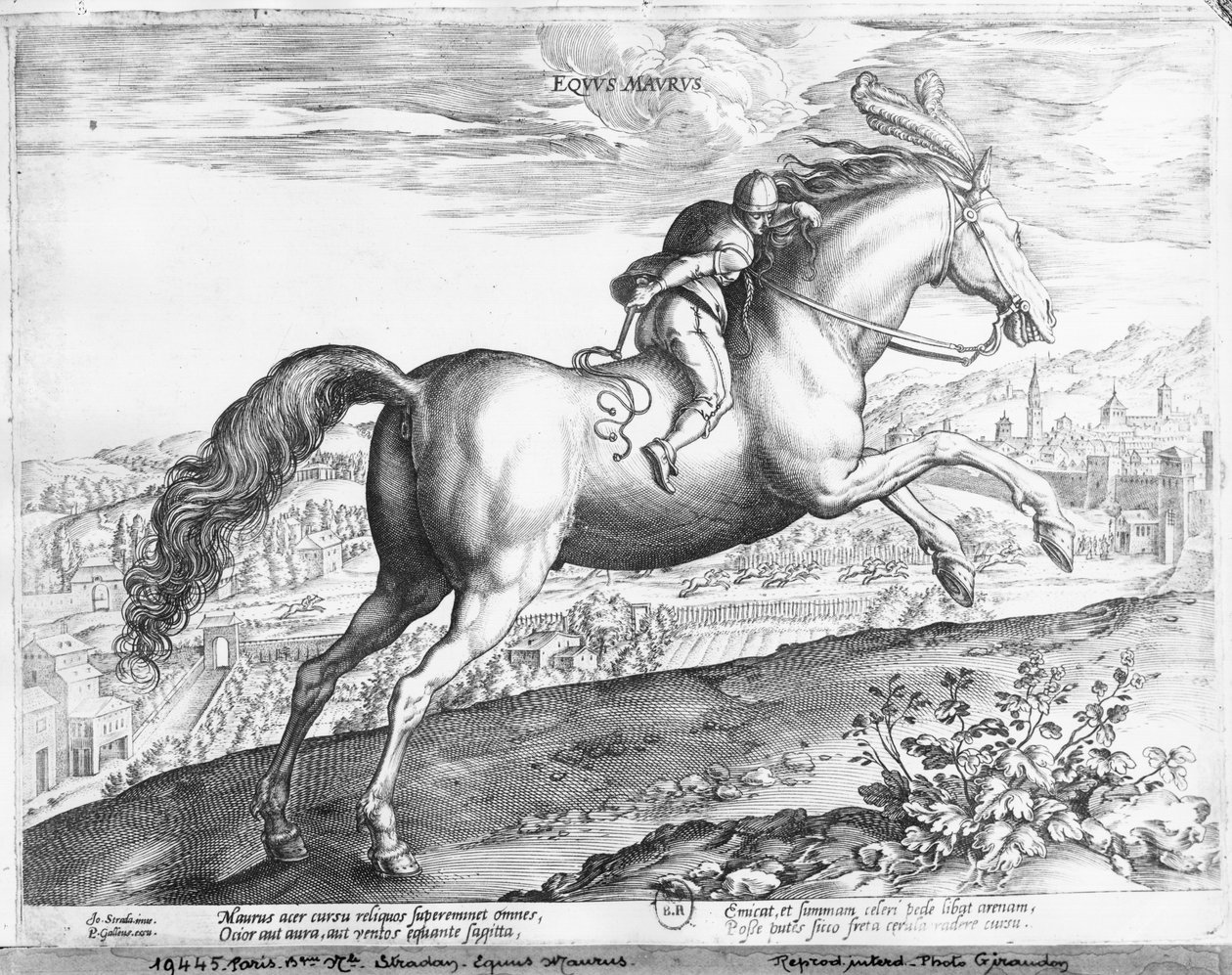 Hestemyr av Jan van der Straet