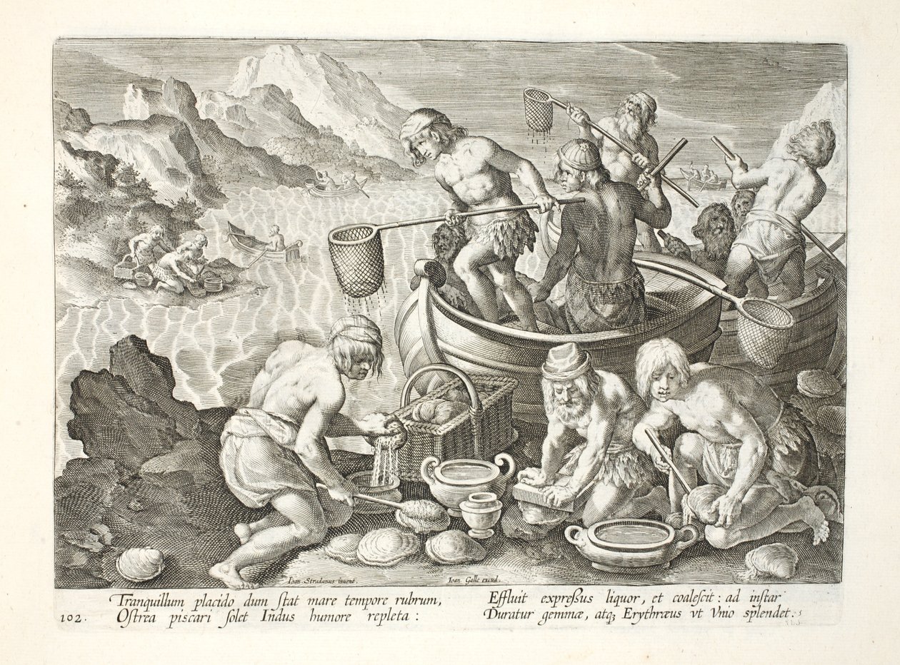 Natives Fishing for Giant Clams on the Indus, plate 102, illustrasjon fra 