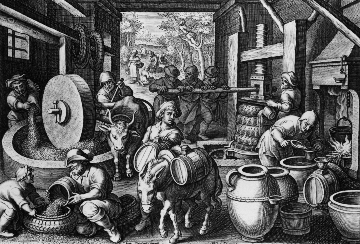 Olivenolje, plate 12 fra 