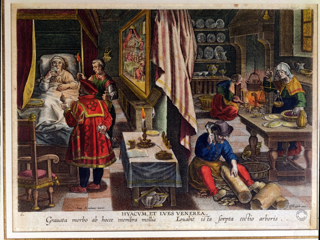 Forberedelse og bruk av Guayaco for behandling av syfilis, gravert av Philip Galle (1537-1612) ca. 1570 (se også 91596) av Jan van der Straet