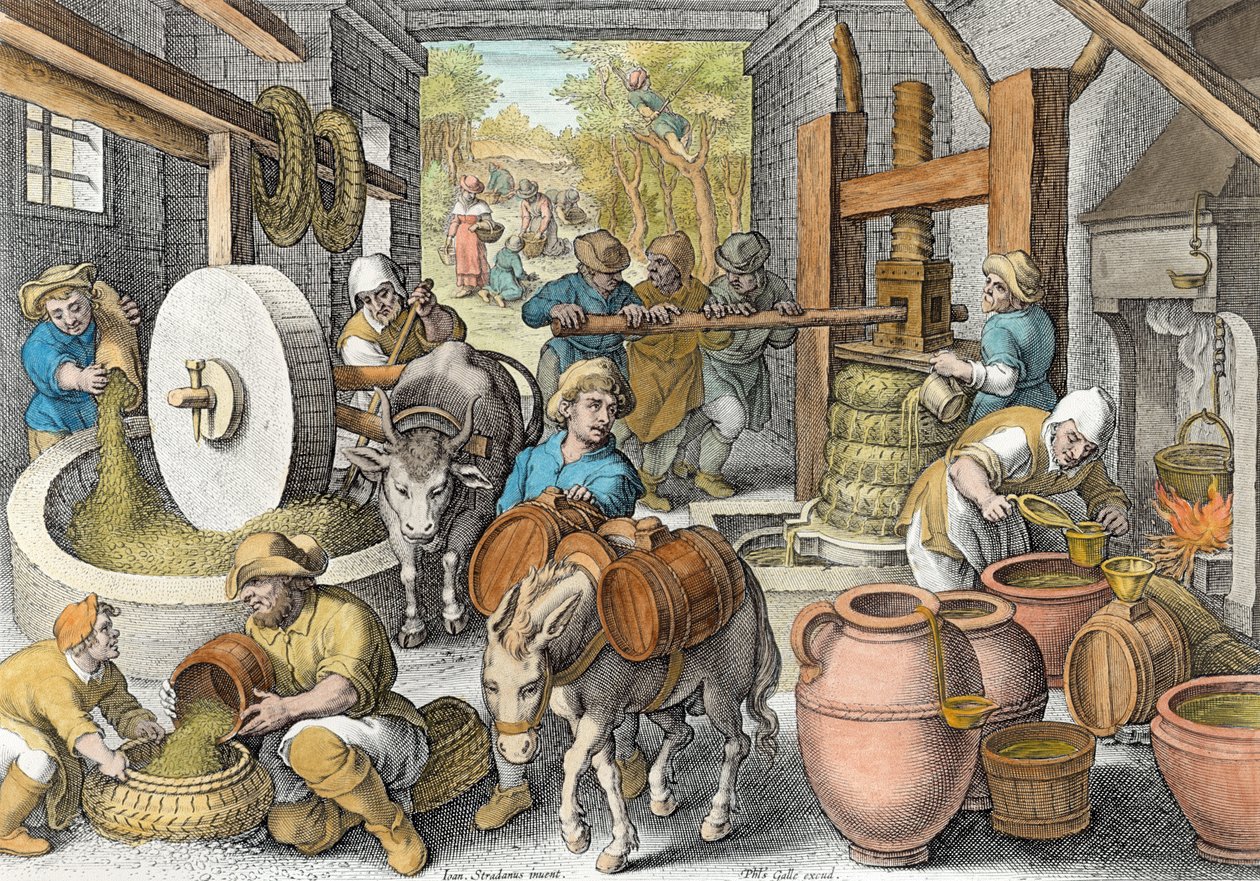 The Production of Olive Oil, plate 13 fra 