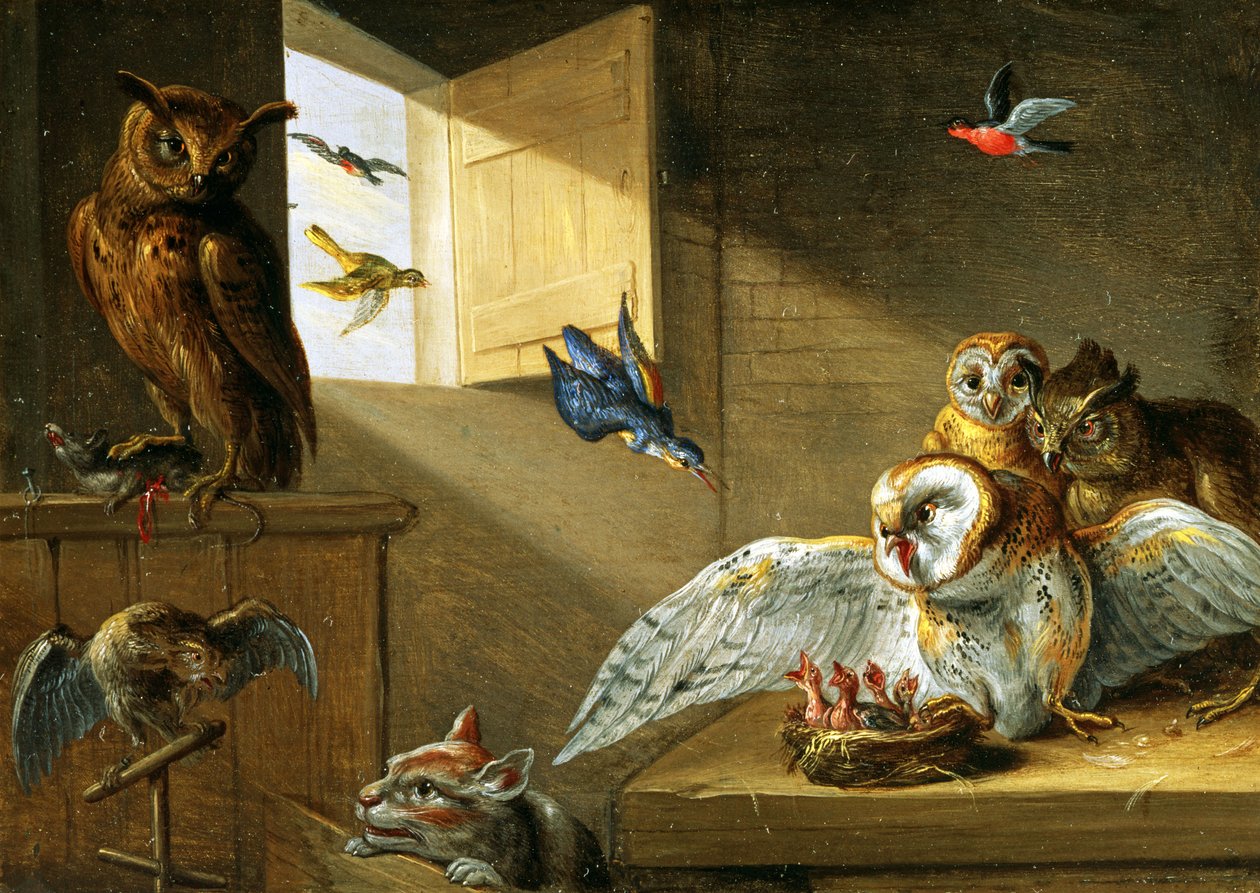 En familie av ugler, andre fugler og en katt (olje på kobber) av Jan van Kessel the Elder