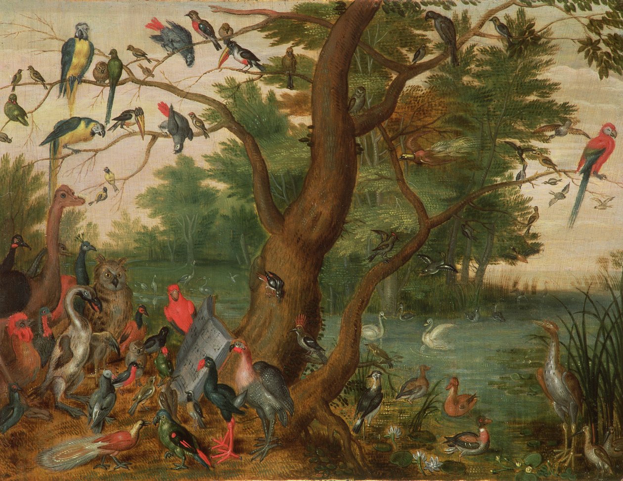 Konsert av fugler (panel) av Jan van Kessel the Elder
