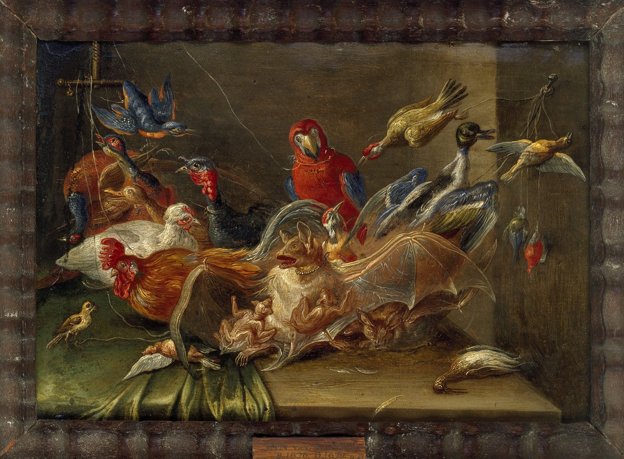 Dekorativ stillebenskomposisjon med fugler og to flaggermus (olje på kobber) av Jan van Kessel the Elder