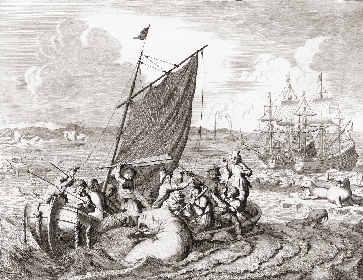 Hvalrossjegere på 1500-tallet (gravering) av Jan (after) Luyken