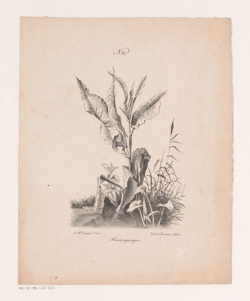 Vannplanter Vannplanter (tittel på objekt) Prinsipper for landskap hentet fra naturen og utført på stein (serietittel) av Jan Baptiste de Jonghe