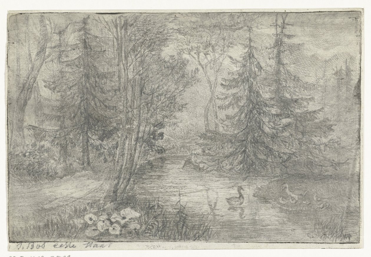 Skogsdam med ender av Jan Bos Wz. (signed by artist)