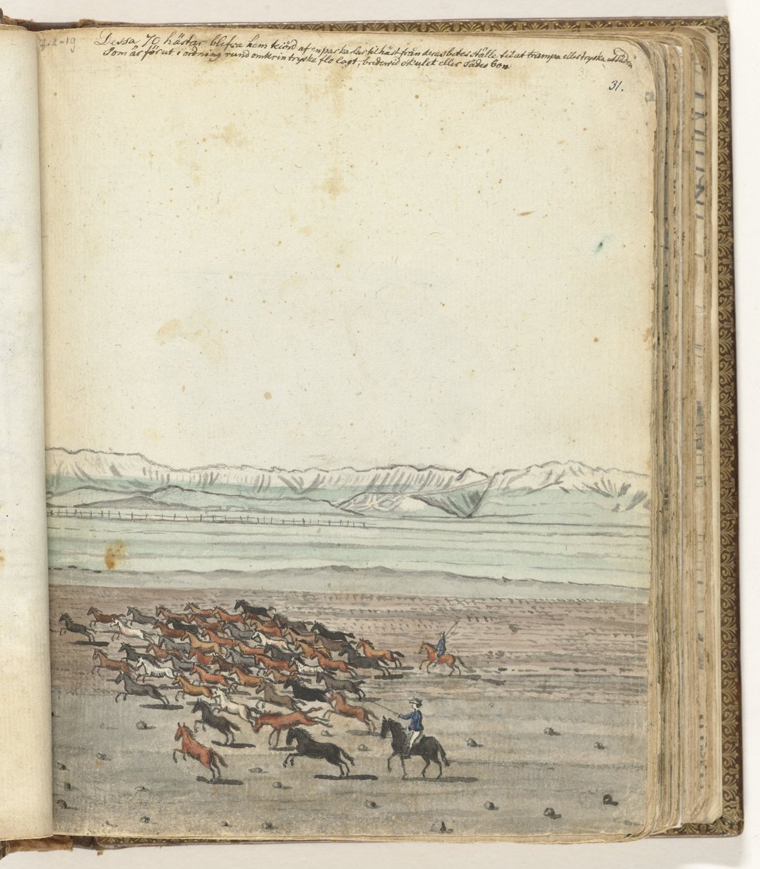 Flok med hester av Jan Brandes