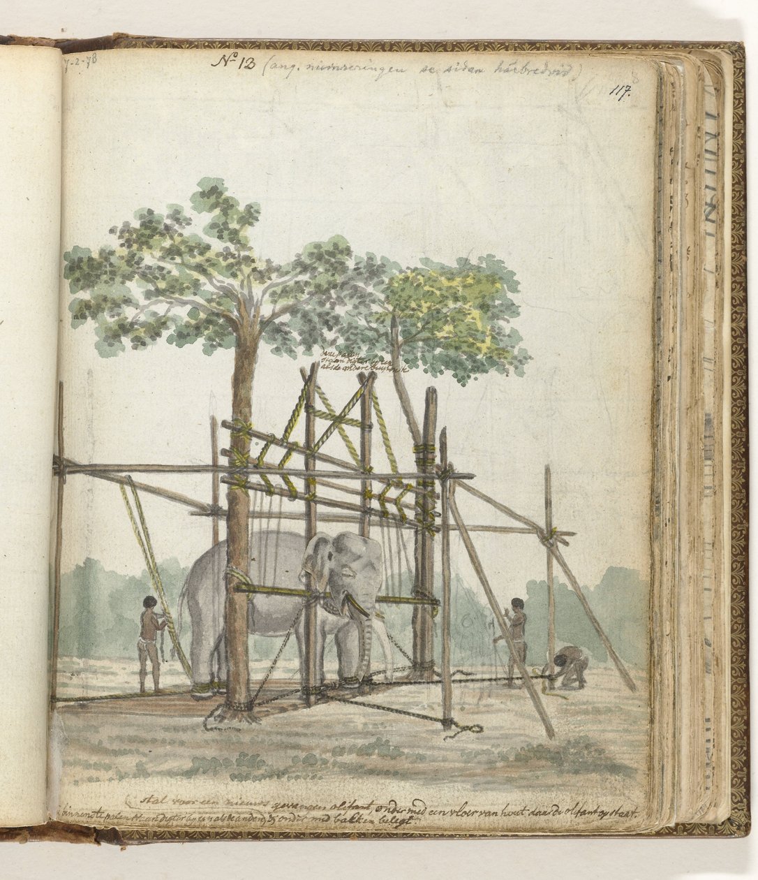 Elefantstall av Jan Brandes