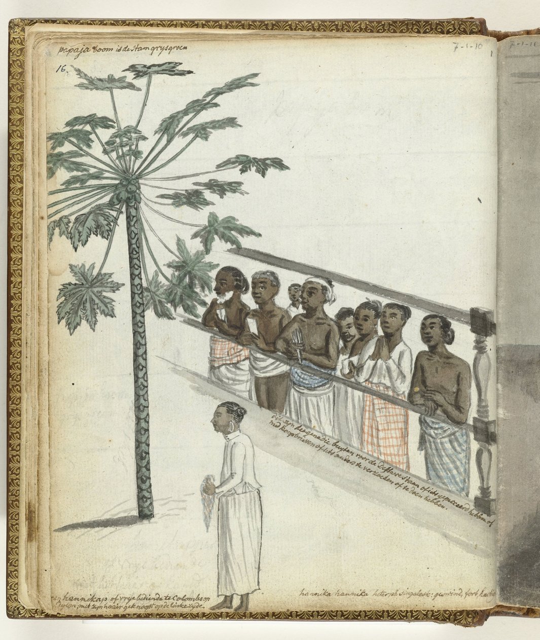 Papaya-tre, rettssaker ved Dessave og en 