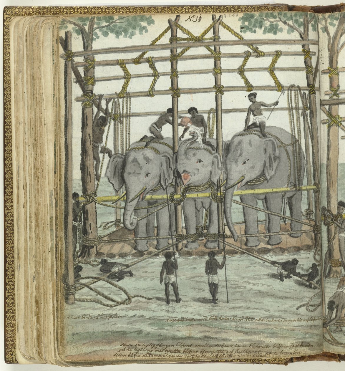 Å temme en elefant av Jan Brandes