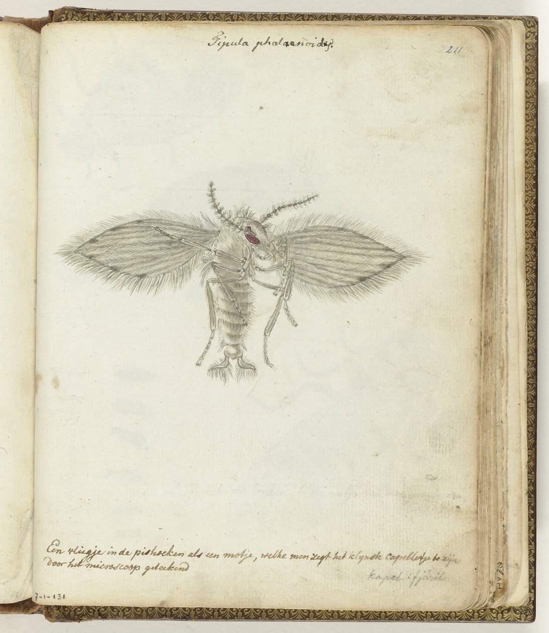 fly av Jan Brandes