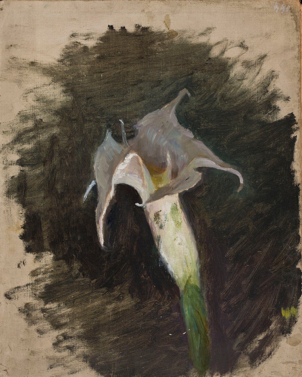 Blomst av Jan Ciągliński
