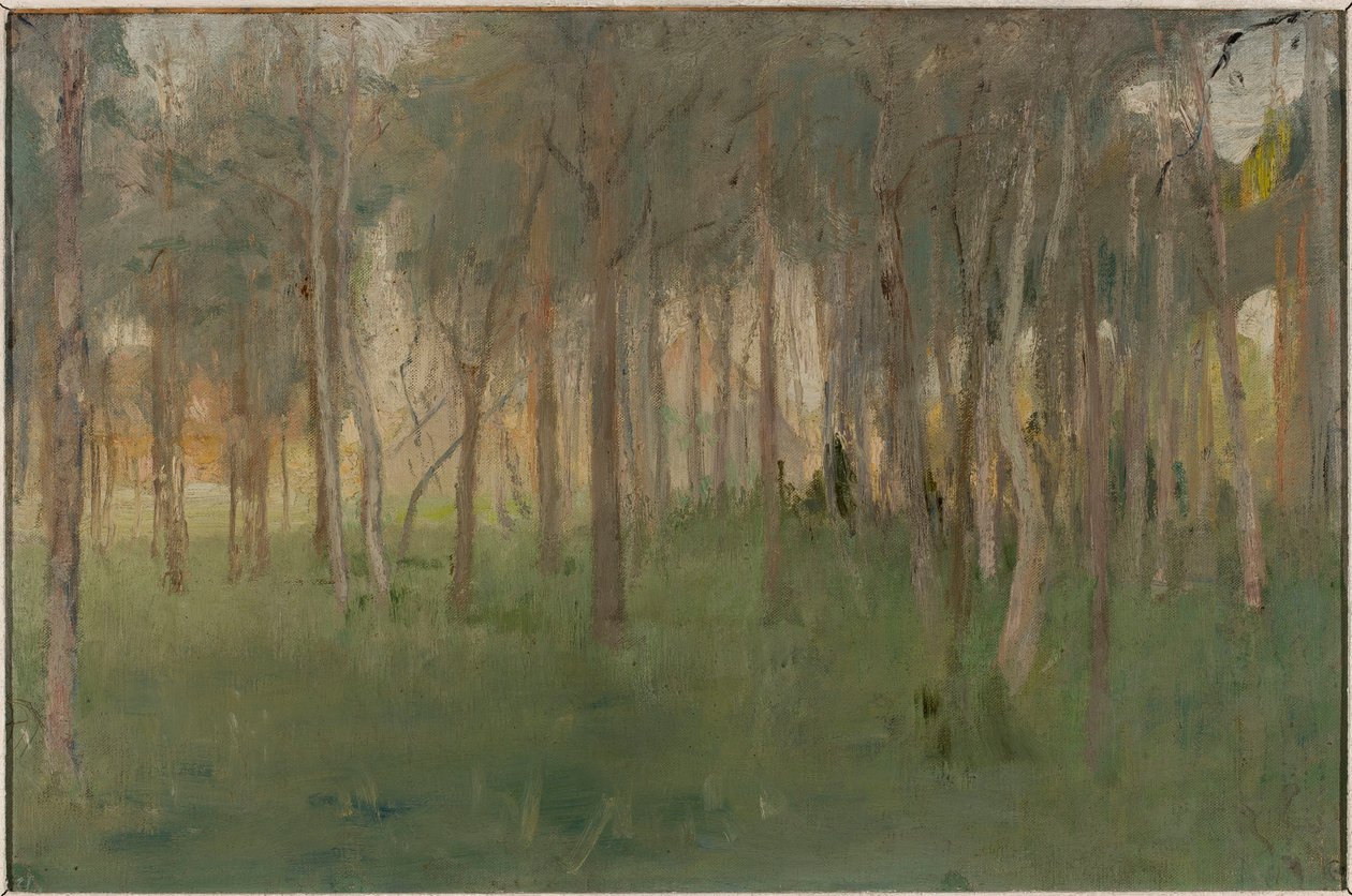Marino - Lunde av Jan Ciągliński