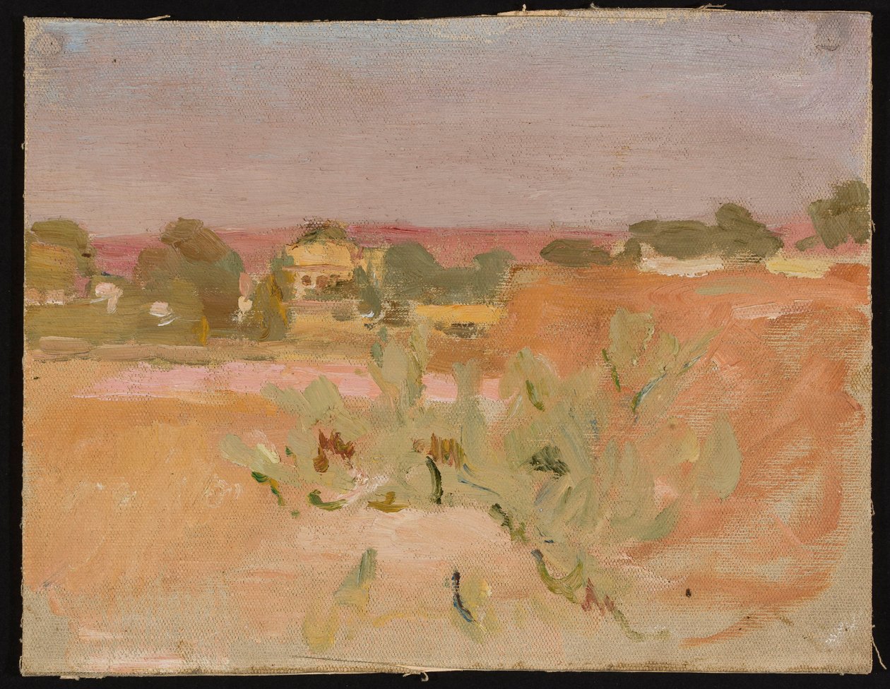 Rosa Landschaft mit Kakteen. Aus einer Reise nach Indien av Jan Ciągliński