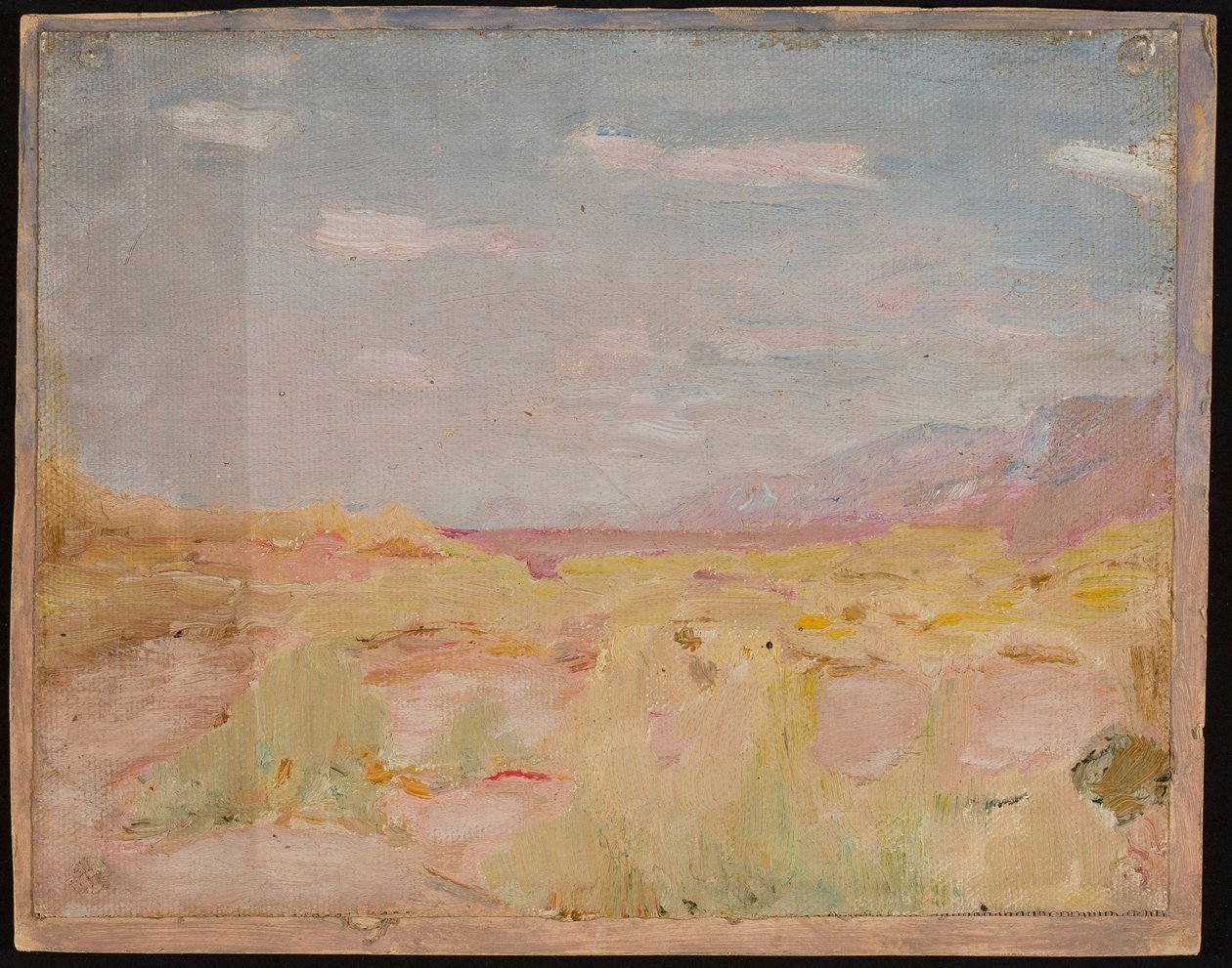 Steppe (Transkaspiske region). Fra en reise til Turkestan av Jan Ciągliński