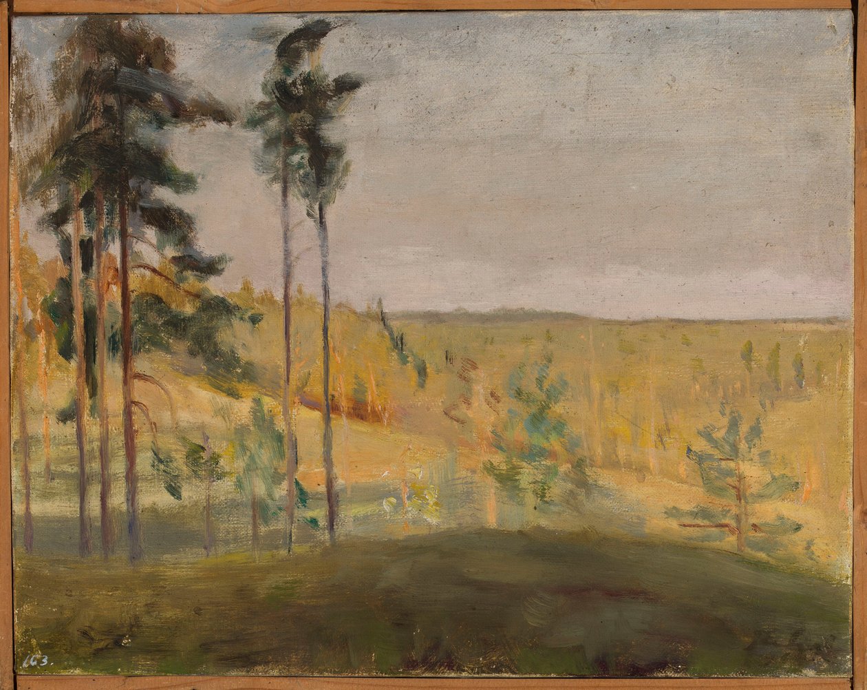 Terioki - Finland av Jan Ciągliński