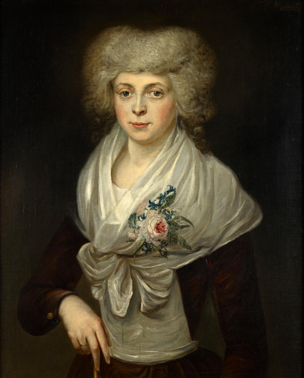  av Jan Cornelis Mertens