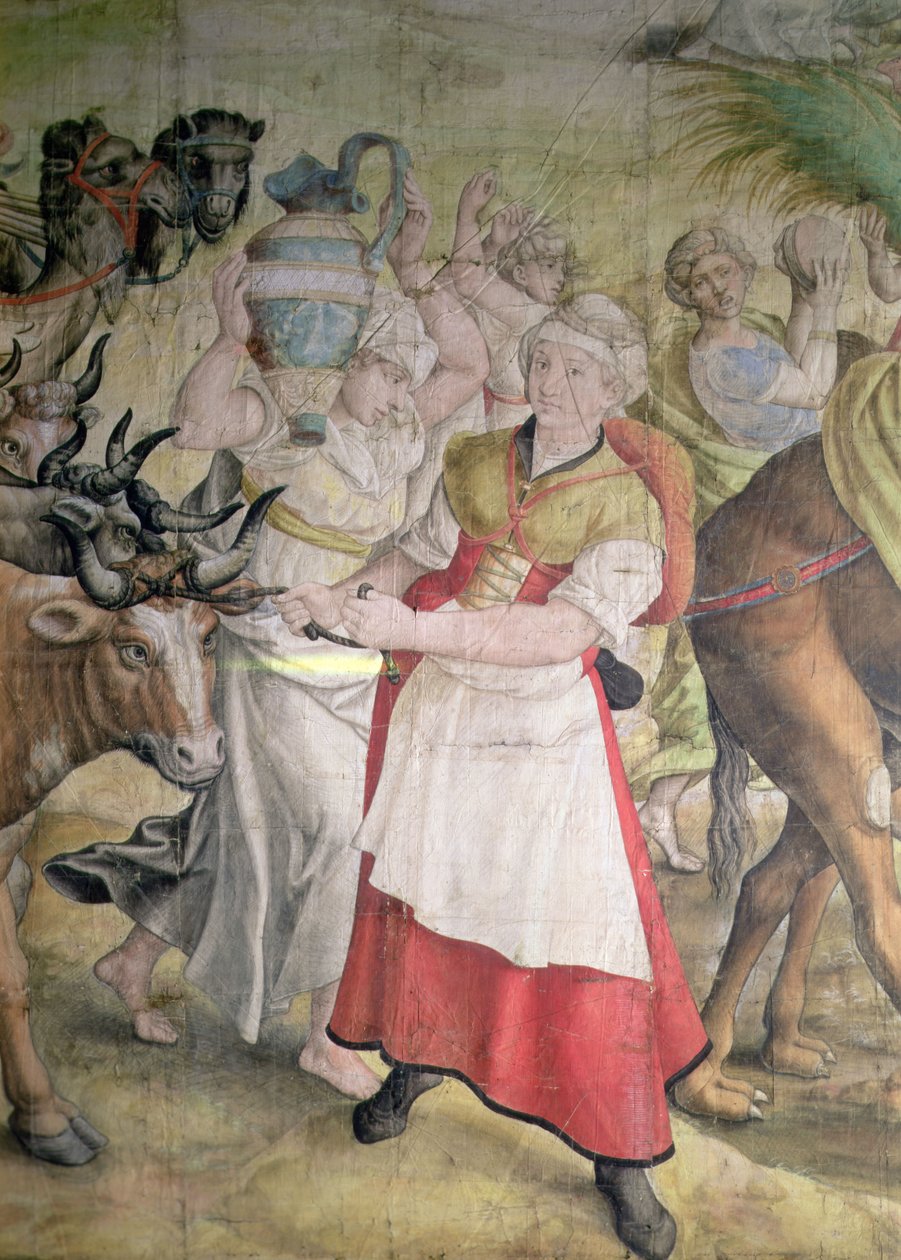 Kampanje av keiser Charles V av Jan Cornelisz Vermeyen