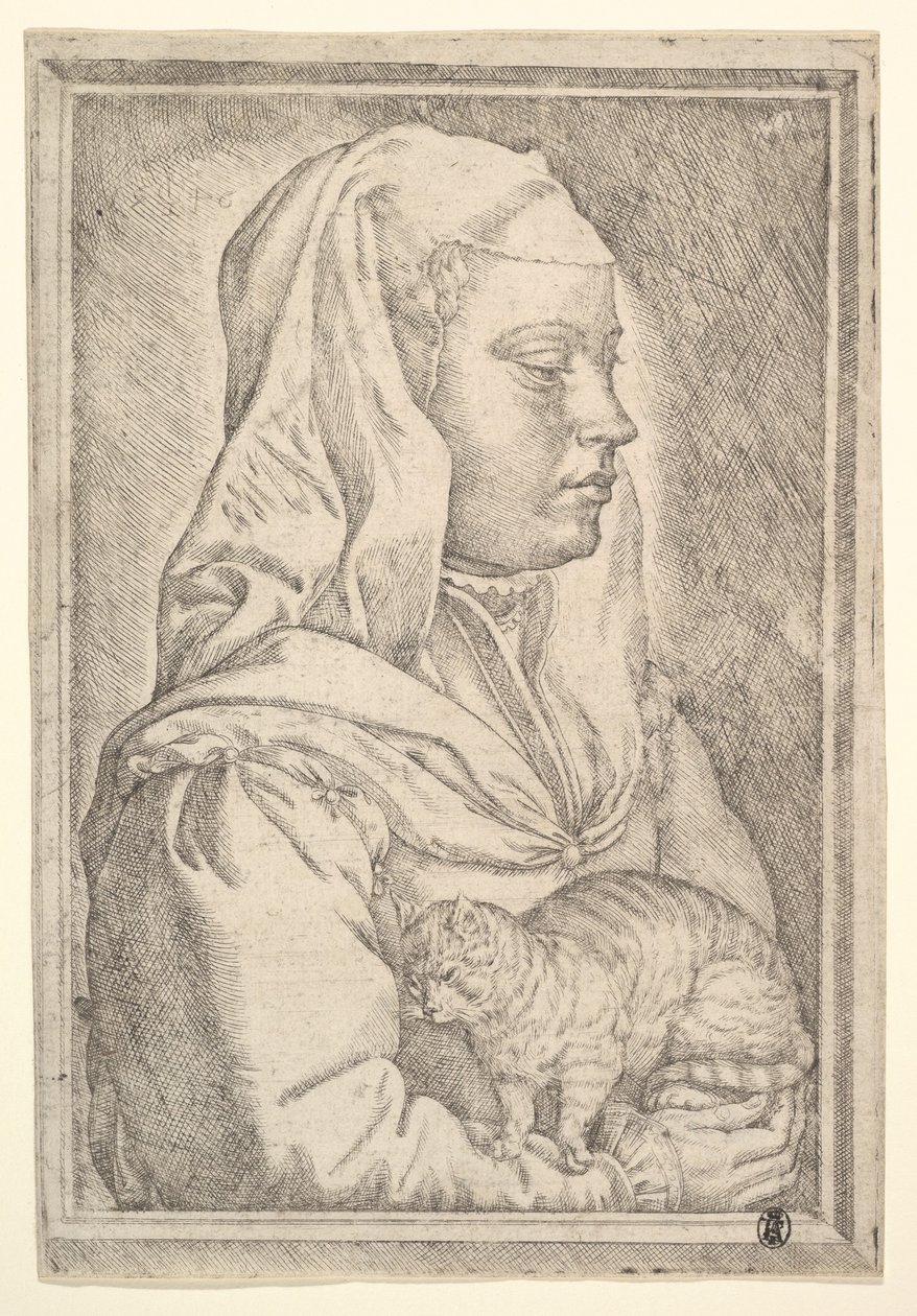 Jente med en katt, 1546. av Jan Cornelisz Vermeyen