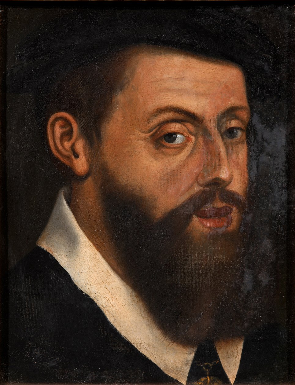 Portrett av keiser Karl V 1500-1558 av Jan Cornelisz. Vermeyen